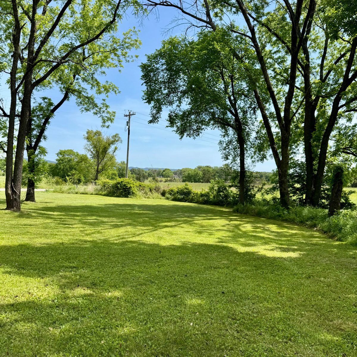 Open mowed acreage running to a treeline